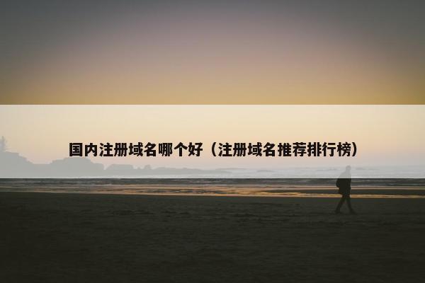 国内注册域名哪个好（注册域名推荐排行榜）