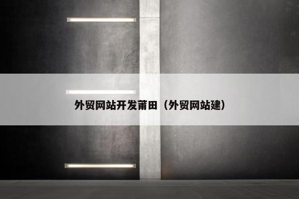 外贸网站开发莆田（外贸网站建）