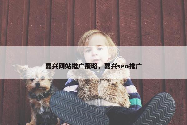 嘉兴网站推广策略，嘉兴seo推广