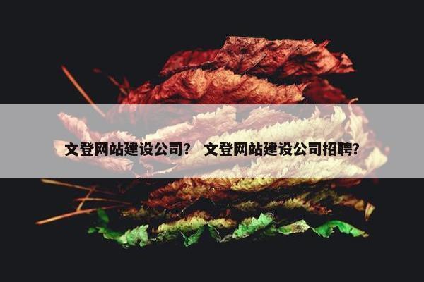 文登网站建设公司？ 文登网站建设公司招聘？