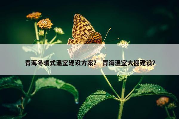 青海冬暖式温室建设方案？ 青海温室大棚建设？