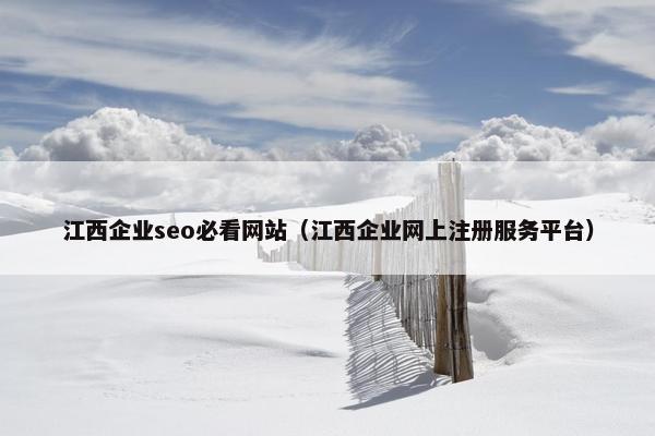 江西企业seo必看网站（江西企业网上注册服务平台）