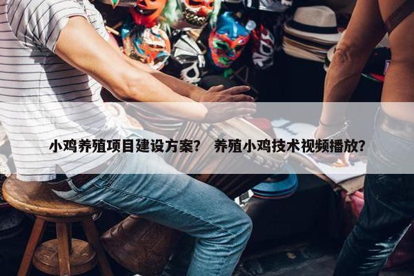 小鸡养殖项目建设方案？ 养殖小鸡技术视频播放？