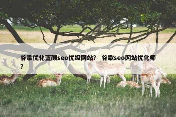 谷歌优化蓝颜seo优级网站？ 谷歌seo网站优化师？