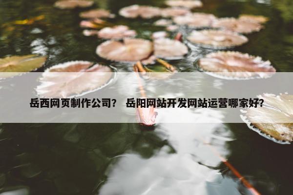 岳西网页制作公司？ 岳阳网站开发网站运营哪家好？