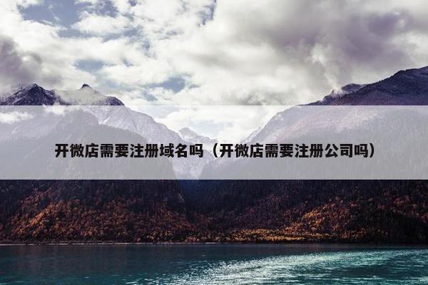 开微店需要注册域名吗（开微店需要注册公司吗）