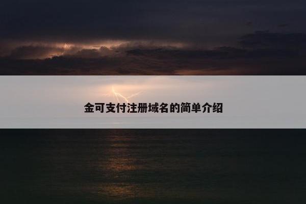 金可支付注册域名的简单介绍