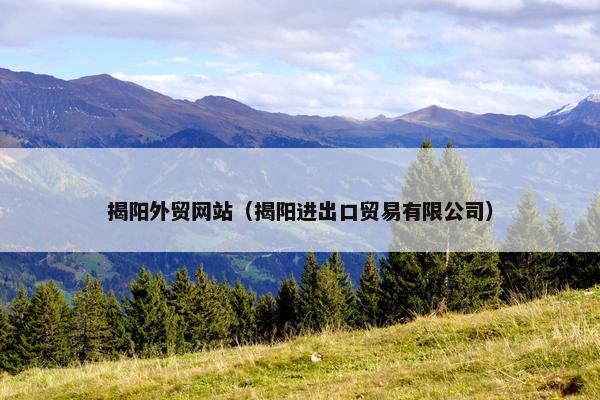 揭阳外贸网站（揭阳进出口贸易有限公司）
