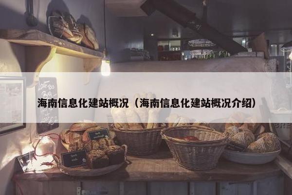 海南信息化建站概况（海南信息化建站概况介绍）