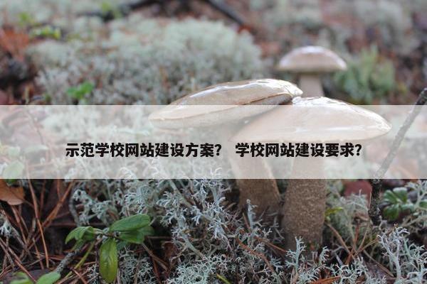 示范学校网站建设方案？ 学校网站建设要求？