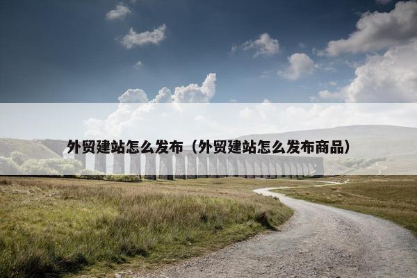 外贸建站怎么发布（外贸建站怎么发布商品）