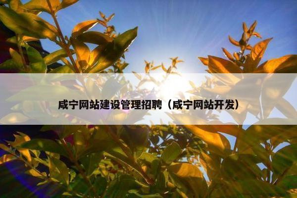 咸宁网站建设管理招聘（咸宁网站开发）