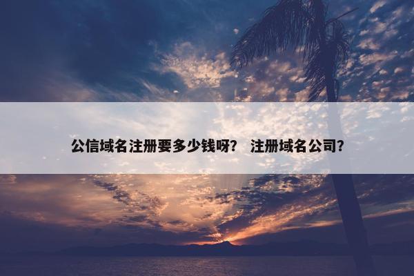 公信域名注册要多少钱呀？ 注册域名公司？