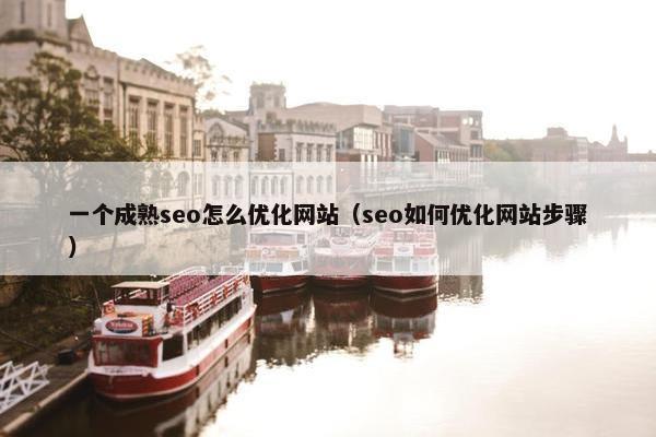 一个成熟seo怎么优化网站（seo如何优化网站步骤）