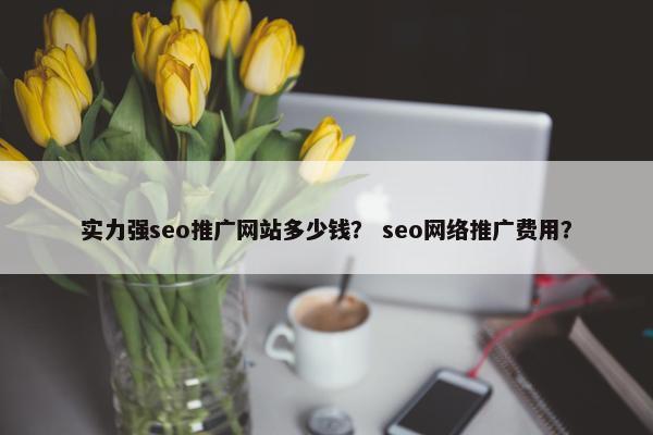 实力强seo推广网站多少钱？ seo网络推广费用？