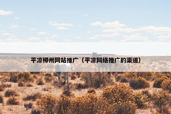 平凉柳州网站推广（平凉网络推广的渠道）