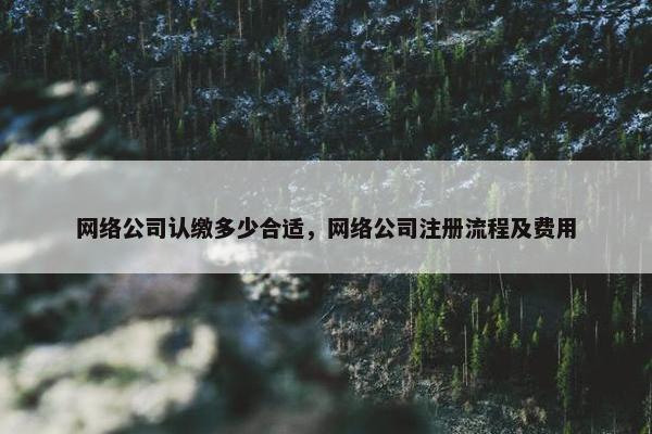 网络公司认缴多少合适，网络公司注册流程及费用
