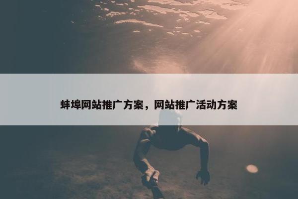 蚌埠网站推广方案，网站推广活动方案