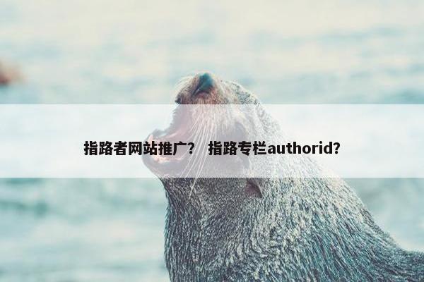 指路者网站推广？ 指路专栏authorid？