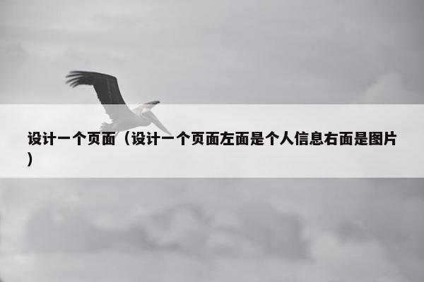 设计一个页面（设计一个页面左面是个人信息右面是图片）