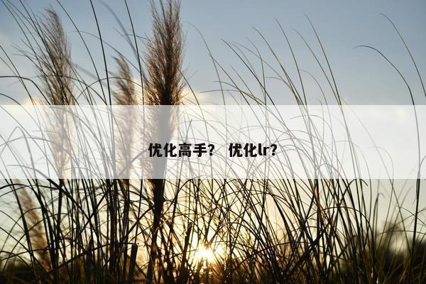 优化高手？ 优化lr？