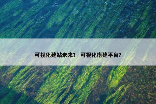 可视化建站未来？ 可视化搭建平台？