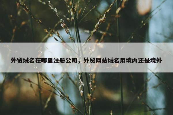 外贸域名在哪里注册公司，外贸网站域名用境内还是境外