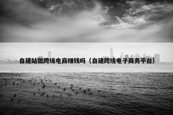 自建站做跨境电商赚钱吗（自建跨境电子商务平台）