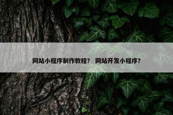 网站小程序制作教程？ 网站开发小程序？
