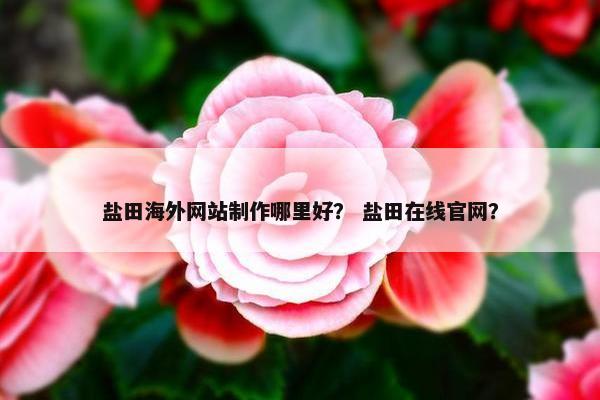 盐田海外网站制作哪里好？ 盐田在线官网？