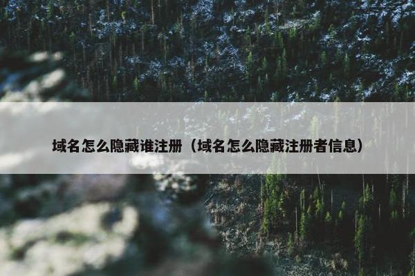 域名怎么隐藏谁注册（域名怎么隐藏注册者信息）