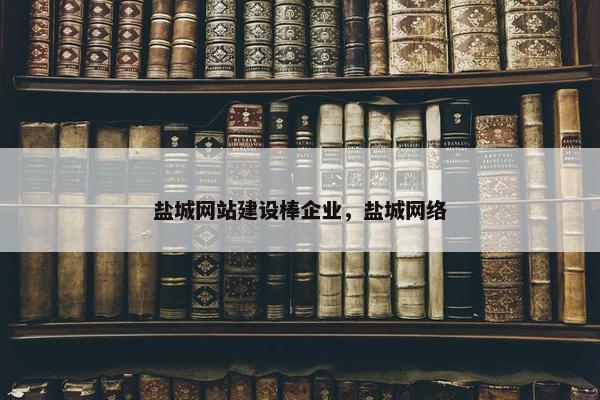 盐城网站建设棒企业，盐城网络