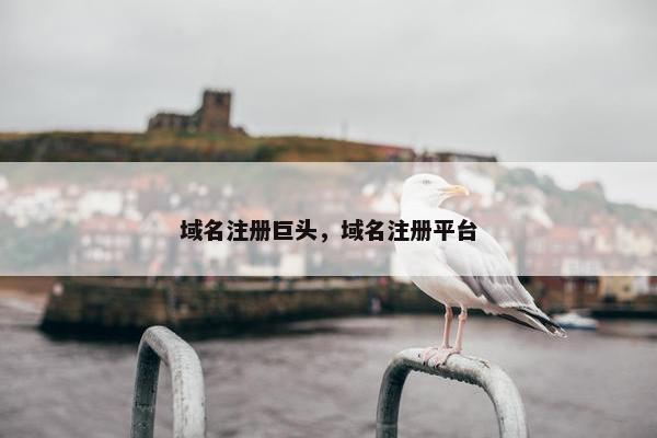 域名注册巨头，域名注册平台