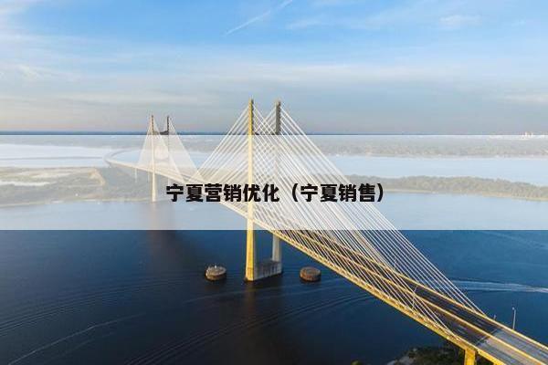 宁夏营销优化（宁夏销售）