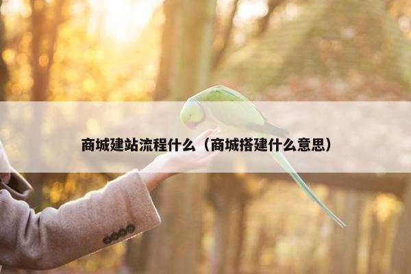商城建站流程什么（商城搭建什么意思）