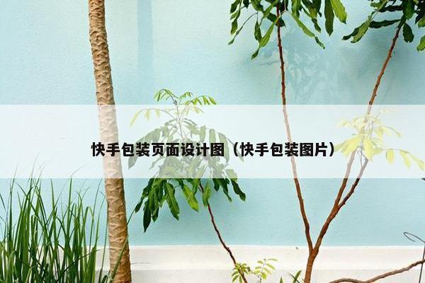 快手包装页面设计图（快手包装图片）