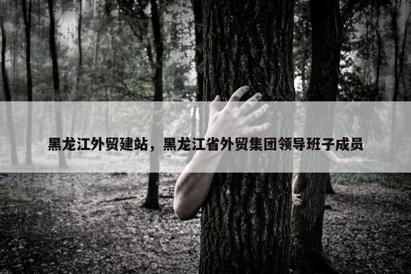 黑龙江外贸建站，黑龙江省外贸集团领导班子成员