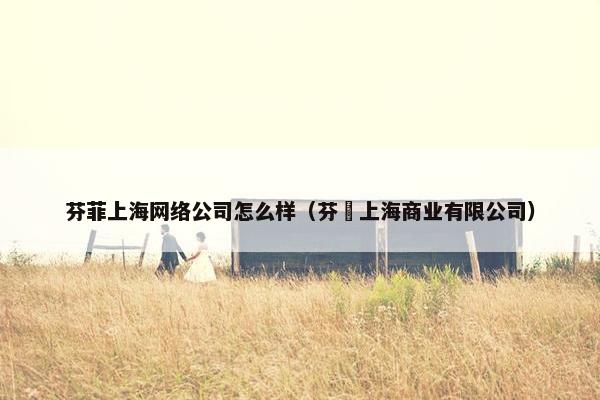 芬菲上海网络公司怎么样（芬廸上海商业有限公司）