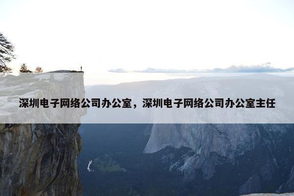 深圳电子网络公司办公室，深圳电子网络公司办公室主任