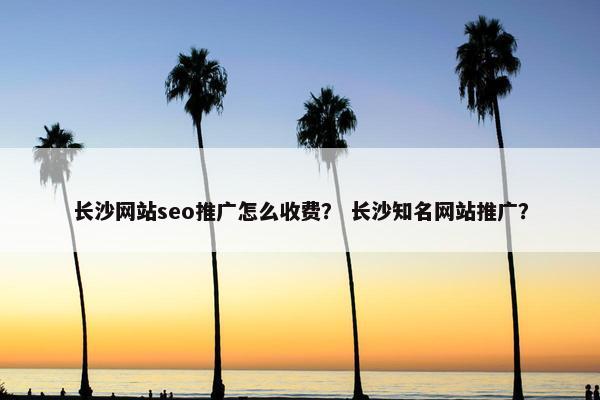 长沙网站seo推广怎么收费？ 长沙知名网站推广？