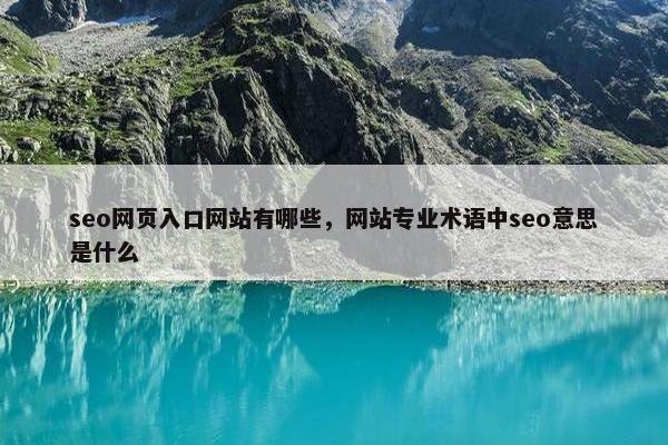 seo网页入口网站有哪些，网站专业术语中seo意思是什么