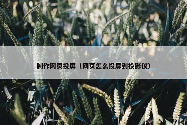 制作网页投屏（网页怎么投屏到投影仪）