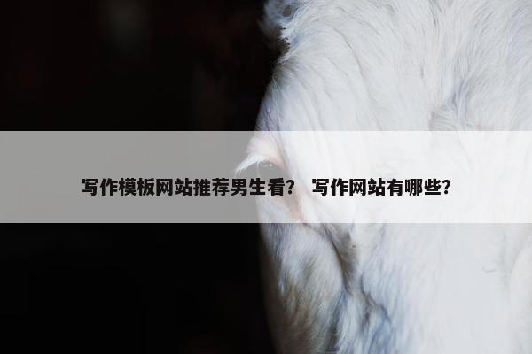 写作模板网站推荐男生看？ 写作网站有哪些？