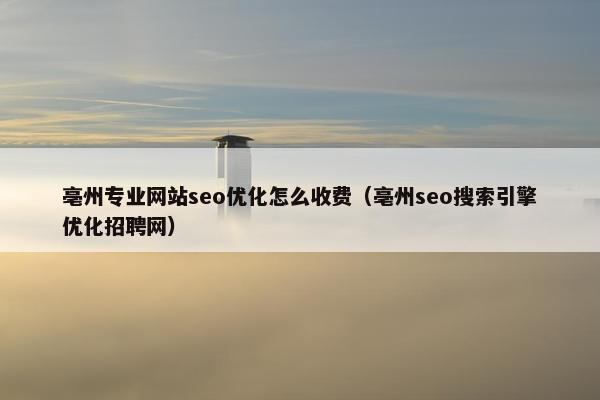 亳州专业网站seo优化怎么收费（亳州seo搜索引擎优化招聘网）
