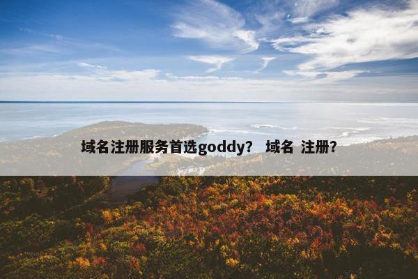 域名注册服务首选goddy？ 域名 注册？