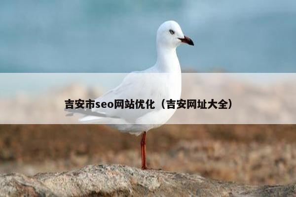 吉安市seo网站优化（吉安网址大全）