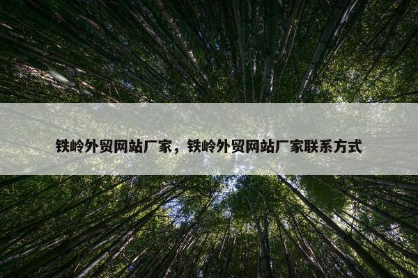 铁岭外贸网站厂家，铁岭外贸网站厂家联系方式