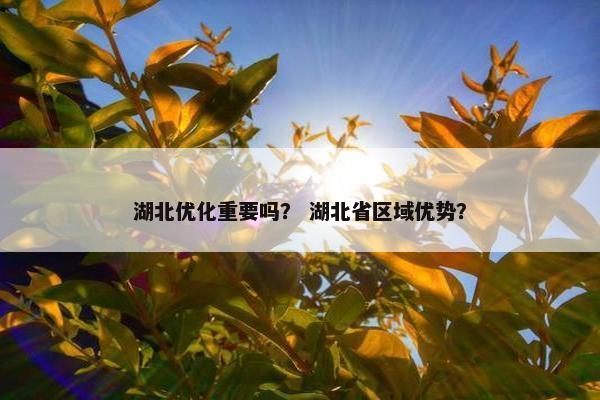 湖北优化重要吗？ 湖北省区域优势？