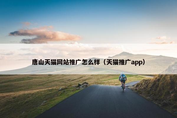唐山天猫网站推广怎么样（天猫推广app）