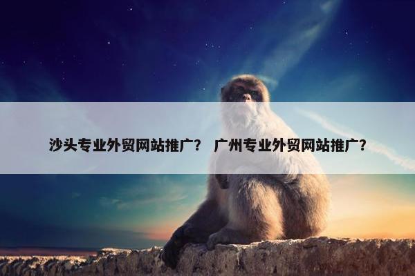 沙头专业外贸网站推广？ 广州专业外贸网站推广？
